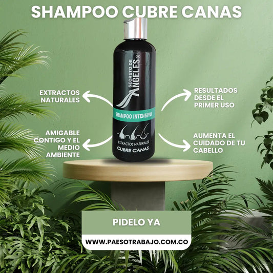 SHAMPOO CUBRE CANAS SECRETO ANGELES®️ 🎁 LLEVA EL SEGUNDO CASI REGALADO 🚀